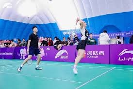 篮球篮网新援表现稳定